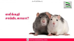 Read more about the article எலிக்கறி சாப்பிடலாமா?